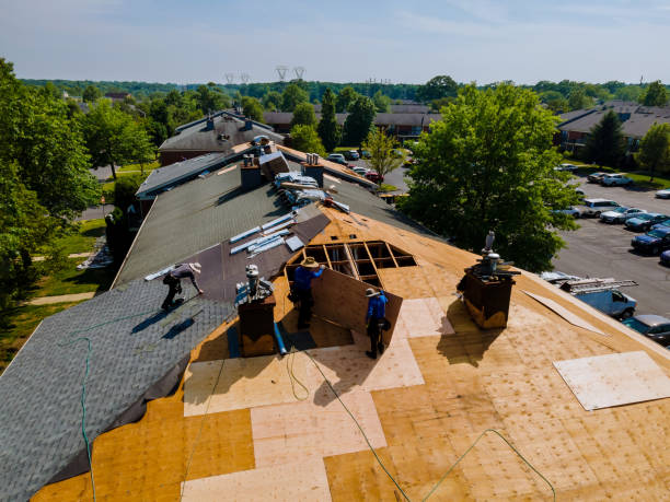 Trusted Flat Roof Repair service in Mill Valley, CA - Brentwood Metal Roofing